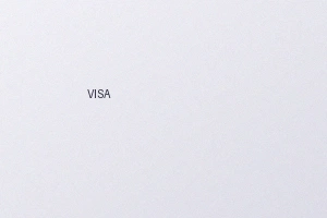 VISA信用卡支付